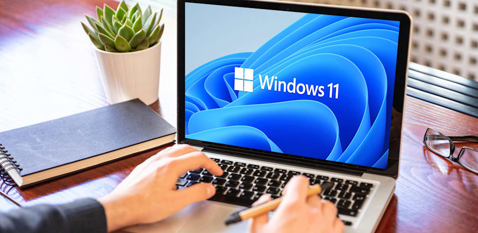 Windows 11.   / : Shutterstock, rawf8